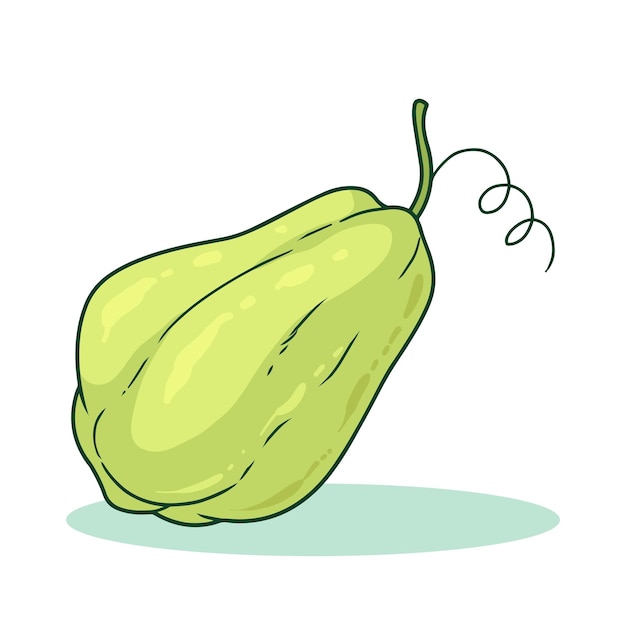 Ilustración de vector vegetal chayote