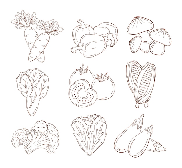 Ilustración de vector de verduras