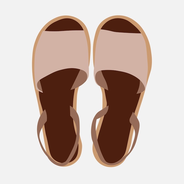 Ilustración de vector de vista superior de zapatos femeninos