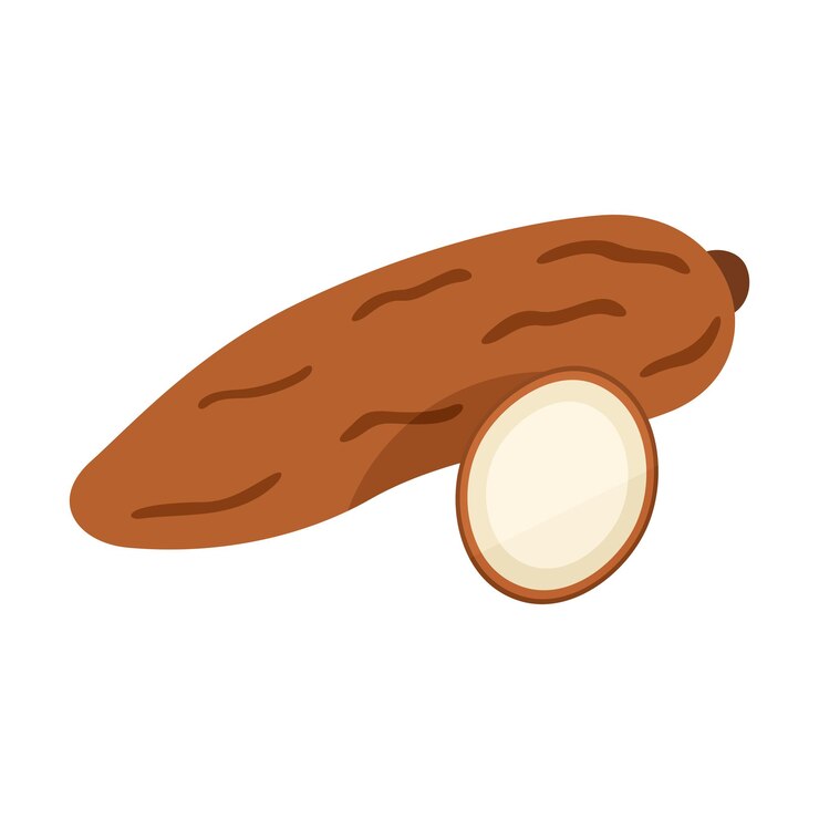Vector ilustración de vector de yuca vegetales enteros y cortados sobre fondo blanco