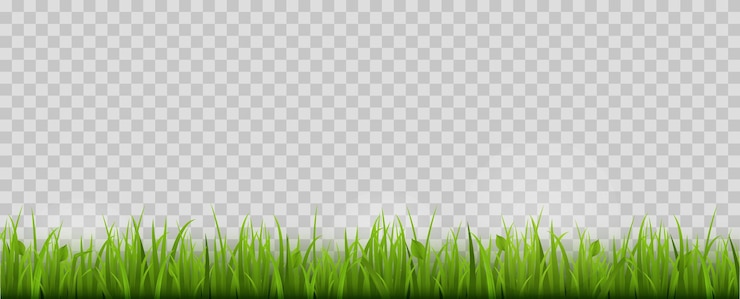 Vector ilustración de vectores aislados con borde de hierba verde