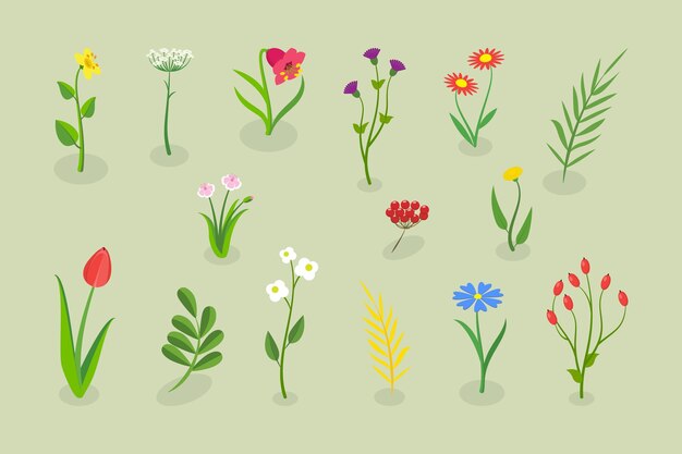 Ilustración de vectores planos isométricos 3D de la colección de flores