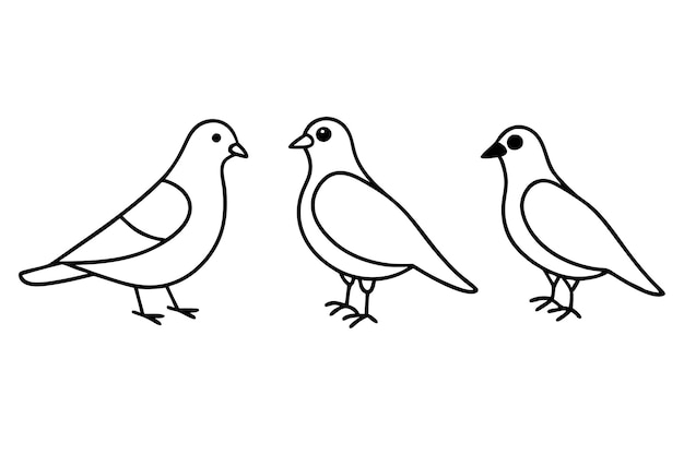 una ilustración vectorial de 4 líneas de arte de pájaros diferentes