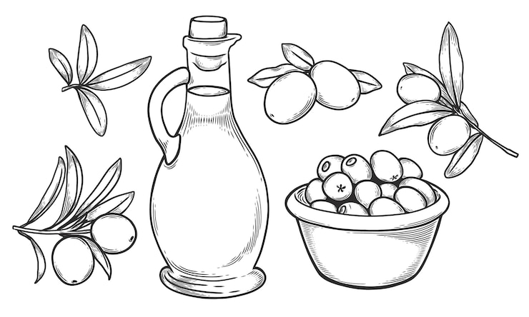 Vector ilustración vectorial con aceitunas conjunto de elementos aceitunas con hojas