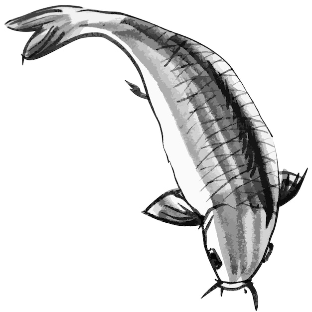 Vector ilustración vectorial en acuarela de un pez carpa koi