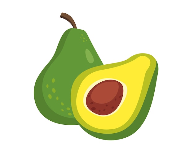 Ilustración vectorial de aguacate fresco en fondo blanco