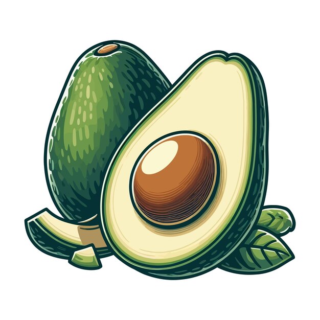 Ilustración vectorial del aguacate