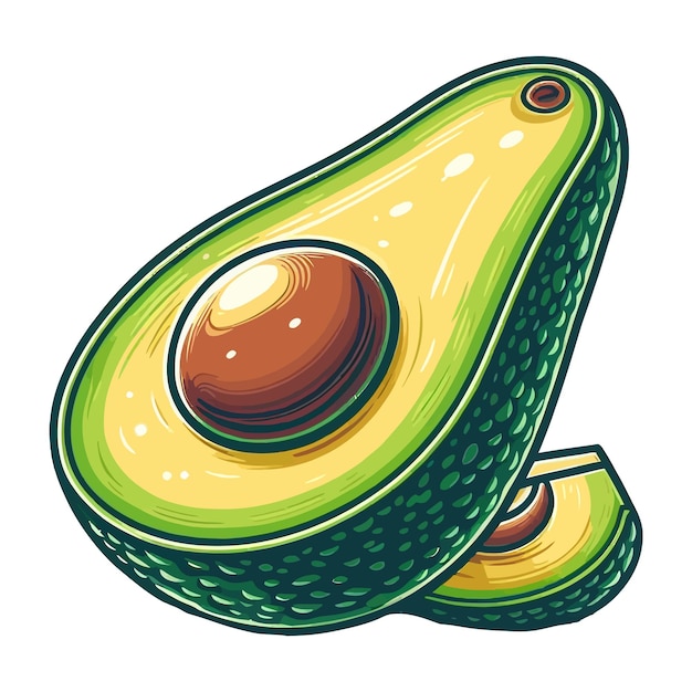 Ilustración vectorial del aguacate