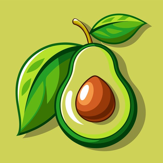 Ilustración vectorial del aguacate