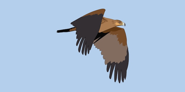 ilustración vectorial del águila