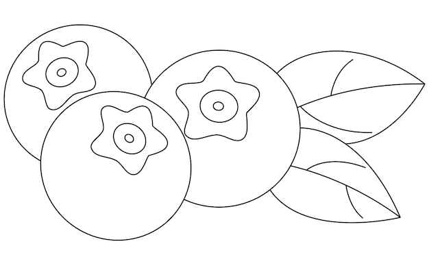 Ilustración vectorial aislada de arándanos dibujada a mano