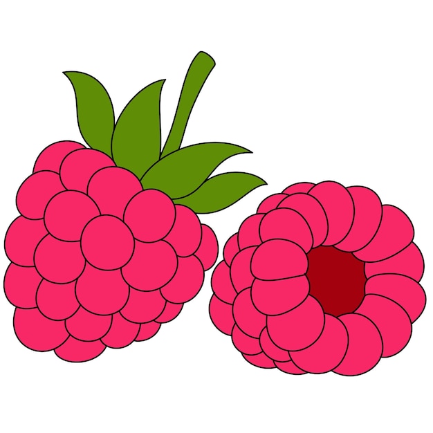 Ilustración vectorial aislada de frambuesa dibujada a mano para niños