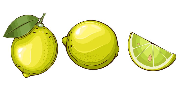 Vector ilustración vectorial aislada de limones ilustración colorida de frutas aisladas en fondo blanco