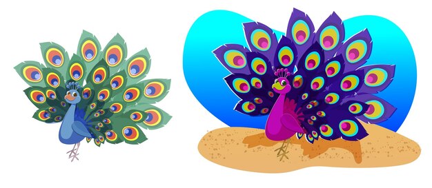 Vector ilustración vectorial aislada con un lindo pájaro pavo real en estilo plano sobre fondo blanco