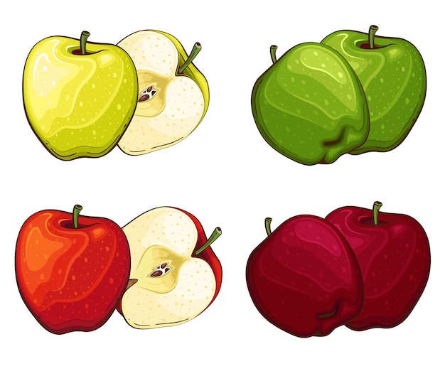 Ilustración vectorial aislada de manzanas Ilustraciones coloridas de frutas aisladas en fondo blanco