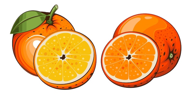 Ilustración vectorial aislada naranja Ilustración colorida de frutas aisladas sobre fondo blanco