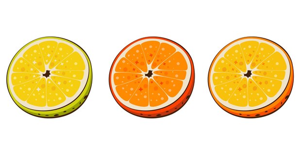 Ilustración vectorial aislada naranja Ilustración colorida de frutas aisladas sobre fondo blanco