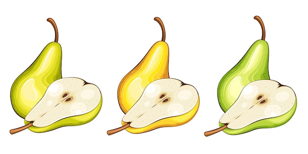 Ilustración vectorial aislada de pera Frutas ilustraciones coloridas aisladas en fondo blanco Frutas