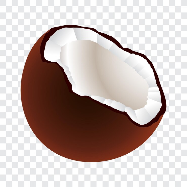Vector ilustración vectorial aislada de la pieza de coco
