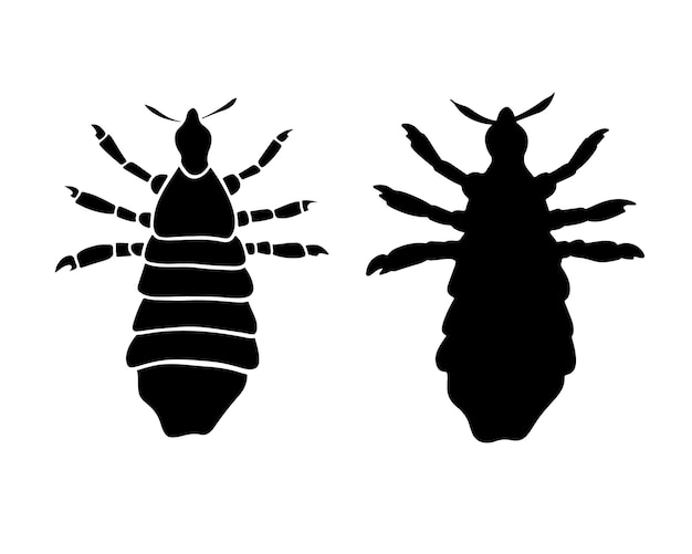 Ilustración vectorial aislada de la silueta del piojo sobre fondo blanco