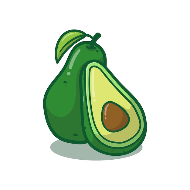 Ilustración vectorial aislado fruto de aguacate verde aislado