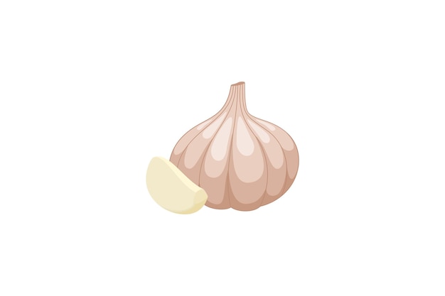 Vector ilustración vectorial de ajo aislada en un fondo blanco diseño de estilo plano de especias de cocina