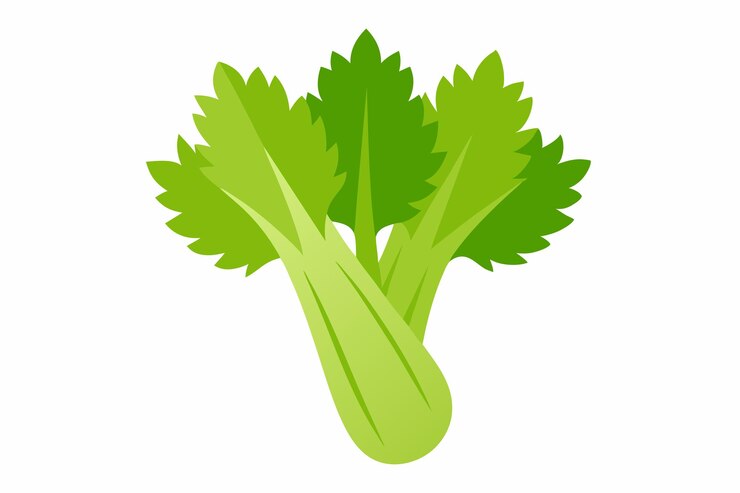 Vector ilustración vectorial al estilo de dibujos animados de apio