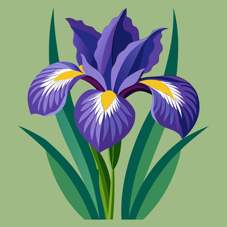 Vector ilustración vectorial al estilo de dibujos animados de la flor del iris