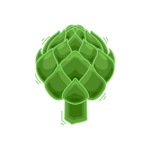 Vector ilustración vectorial de una alcachofa verde alcachofa de alimentos en estilo de dibujos animados closeup fondo aislado