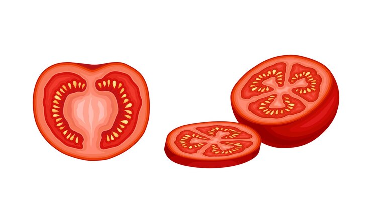 Vector ilustración vectorial de alimentos agrícolas naturales orgánicos de tomate rojo fresco maduro en rodajas