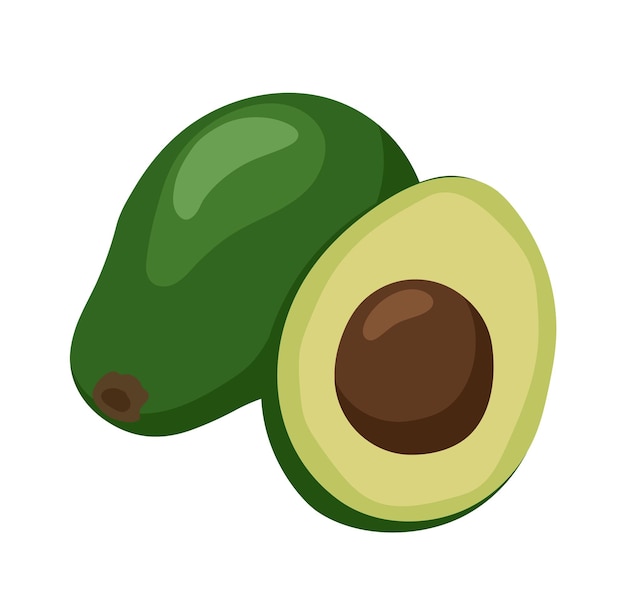 Ilustración vectorial de alimentos naturales de frutos de aguacate enteros y medio maduros frescos aislados en blanco