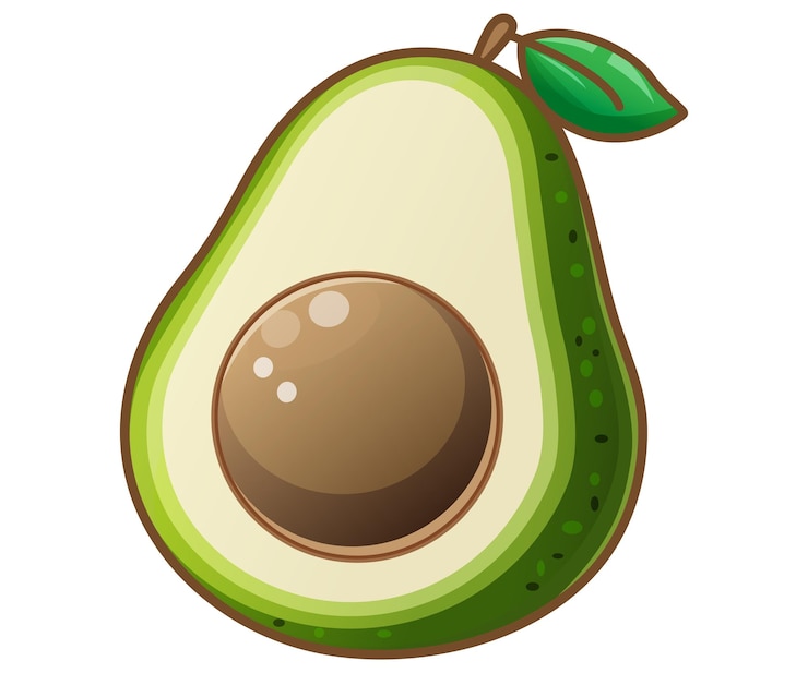 Vector ilustración vectorial de alimentos orgánicos verdes de aguacate en rodajas