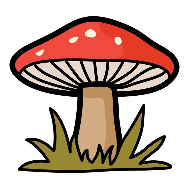 Una ilustración vectorial de alta calidad de un hongo agarico de mosca roja Amanita muscaria