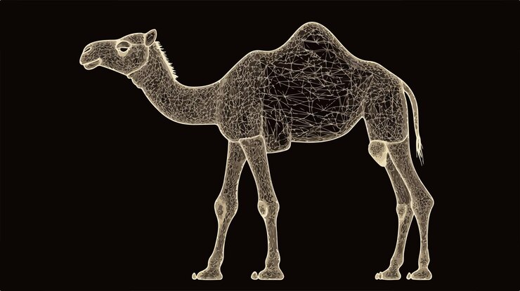 Vector ilustración vectorial de animales de camello del desierto para proyectos de diseño gráfico