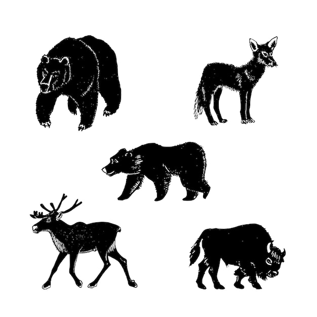 Ilustración vectorial de animales salvajes siluetas de mamíferos dibujadas a mano