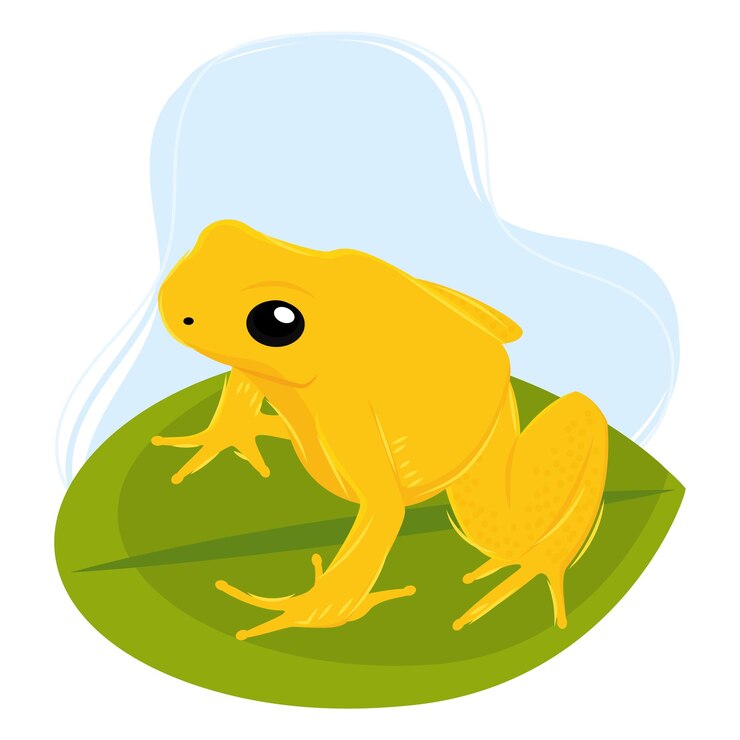 Vector ilustración vectorial de animales de sapo lindo de color aislado