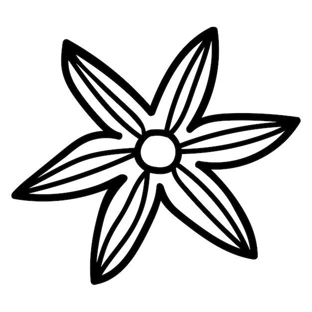 Ilustración vectorial de anís estrellado aislado en fondo blanco