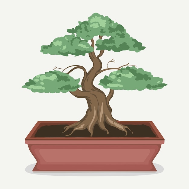 Vector ilustración vectorial de un árbol bonsai colocada sobre un fondo blanco