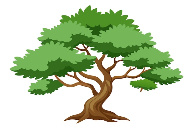 una ilustración vectorial de un árbol de enebro