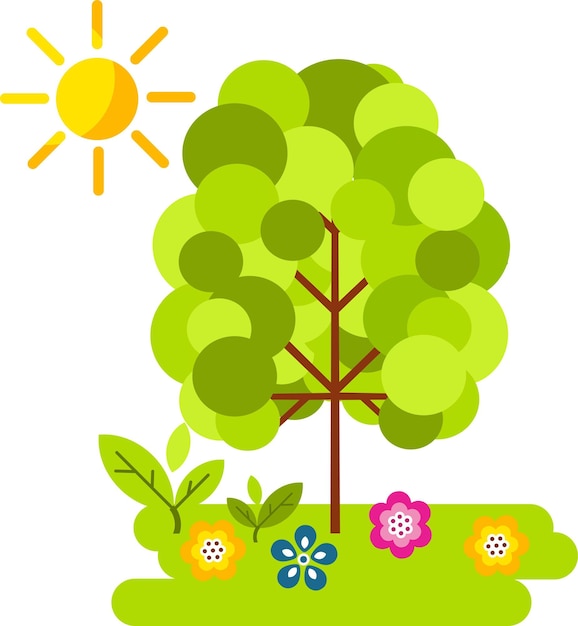 Ilustración vectorial Árbol joven de verano con hojas verdes Concepto de temporada de verano en estilo plano