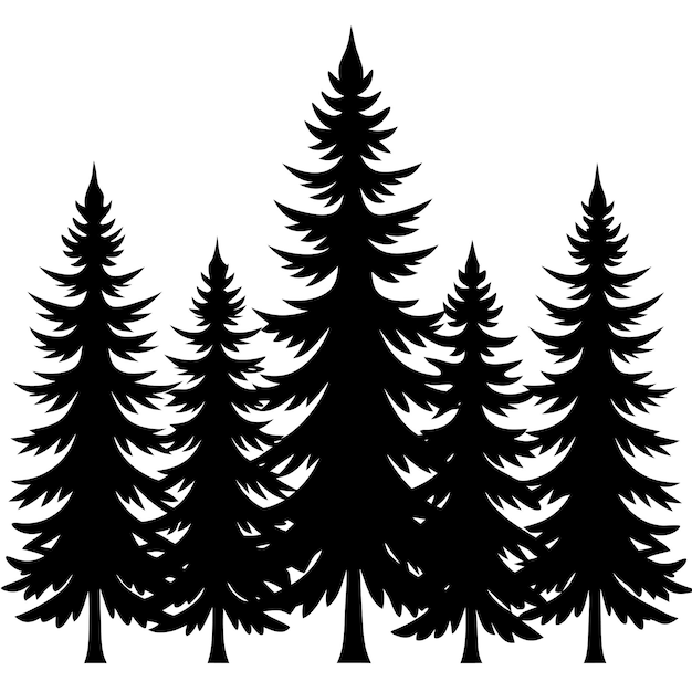 Ilustración vectorial del árbol de pino Diseño artístico de la línea del bosque de hoja perenne