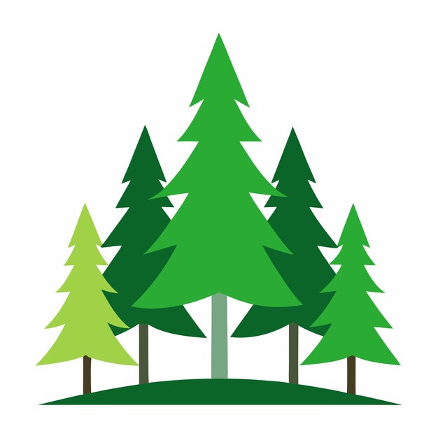 Ilustración vectorial del árbol de pino Diseño artístico de la línea del bosque de hoja perenne
