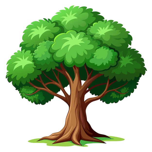 Ilustración vectorial de árbol realista aislada en pantalla blanca