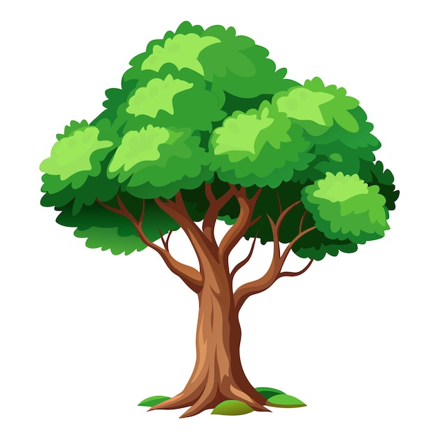 Ilustración vectorial de árbol realista aislada en pantalla blanca