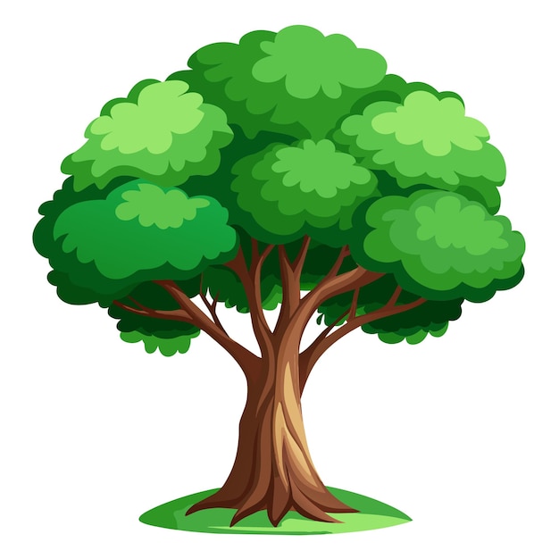 Ilustración vectorial de árbol realista aislada en pantalla blanca