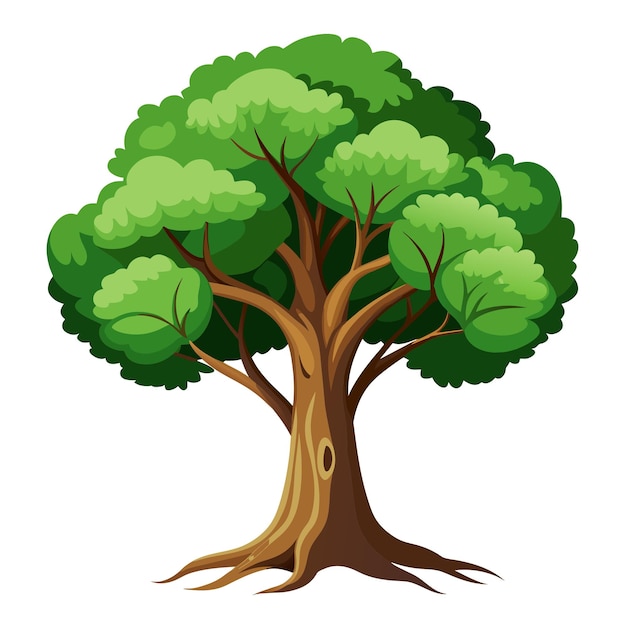 Ilustración vectorial de árbol realista aislada en pantalla blanca