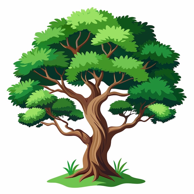 Ilustración vectorial de árbol realista aislada en pantalla blanca