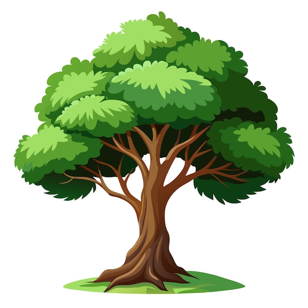 Ilustración vectorial de árbol realista aislada en pantalla blanca