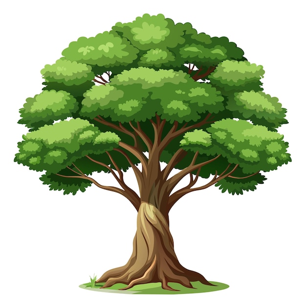 Ilustración vectorial de árbol realista aislada en pantalla blanca