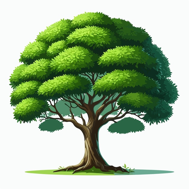 Ilustración vectorial de árbol verde aislado en blanco